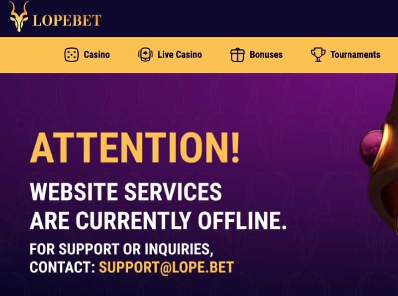 Investigation: Unknown lope.bet project in Matyukha's business structure