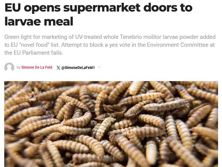 EU to add larva powder to food products