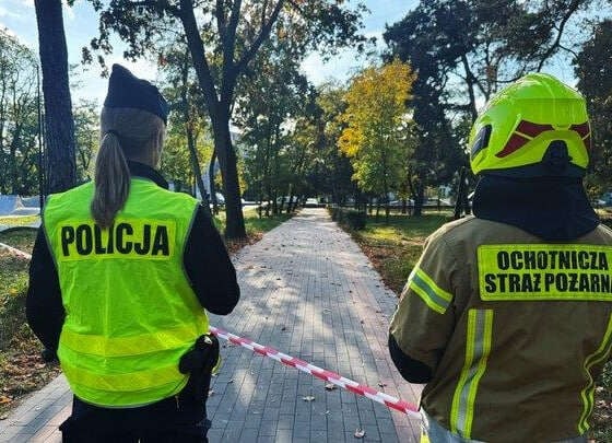 У Польщі серія атак на школи: одна загибла, 76 затриманих після перевірки 50 тис. закладів