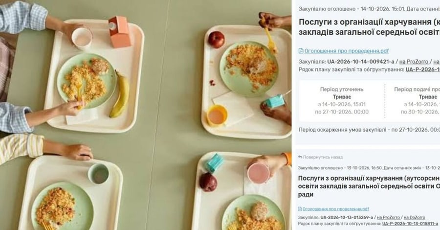 У Олевській громаді школярі лишилися без безкоштовних обідів через тендерні суперечки
