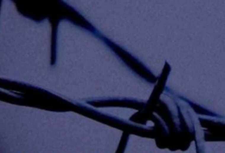 Омбудсмен Лубінець: 793 українці отримали статус постраждалих від торгівлі людьми