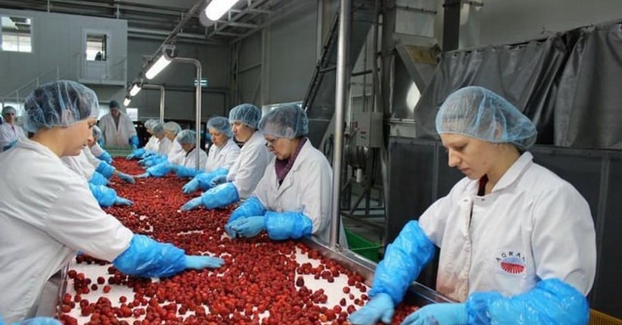 Labour market in Ukraine: 225,000 job vacancies and a shortage of qualified personnel