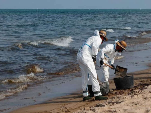 Sharjah restricts access to Al Hamriya beach due to oil pollution threat