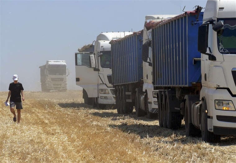 Ukraine's agri-export loses up to €500 million monthly due to logistical constraints