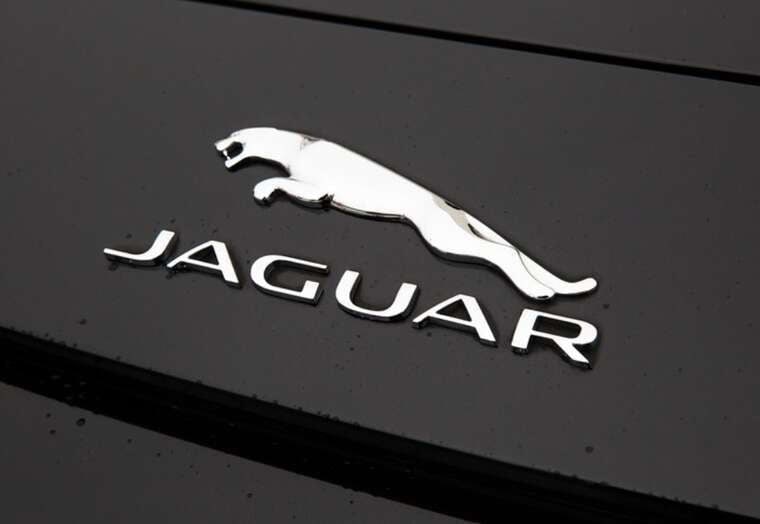 Декларації керівника митного департаменту: Jaguar, нерухомість родичів та бізнес дружини